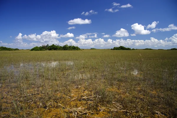 Everglades-Nationalpark — Stockfoto