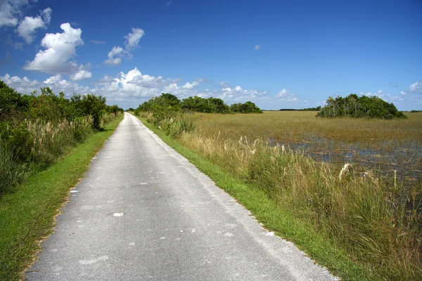 Shark Valley cykling, vandring och spårvagn Trail — Stockfoto