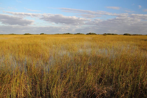 Everglades-Nationalpark — Stockfoto