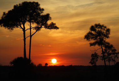 Everglades gün batımı