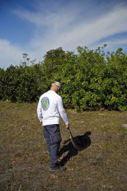 Python avcı Edward Mercer