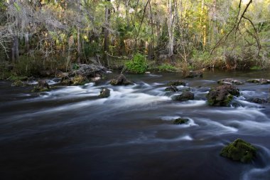 The Hillsborough River clipart