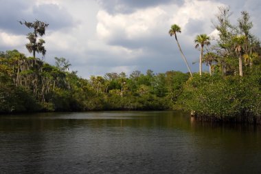 Doğal Loxahatchee Nehri