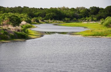 Myakka River State Park clipart