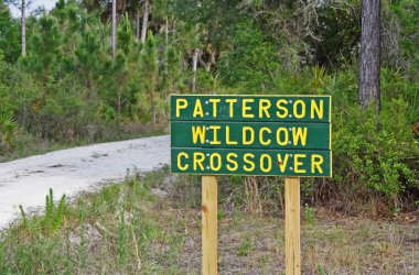 Okaloacoochee Slough devlet orman,