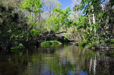 Rock Springs Çalıştır
