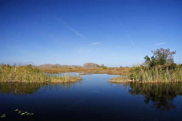 Große Zypressenlandschaft — Stockfoto