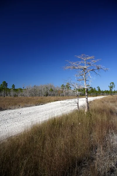 Monument Road Randonnée pédestre et ORV Trail — Photo