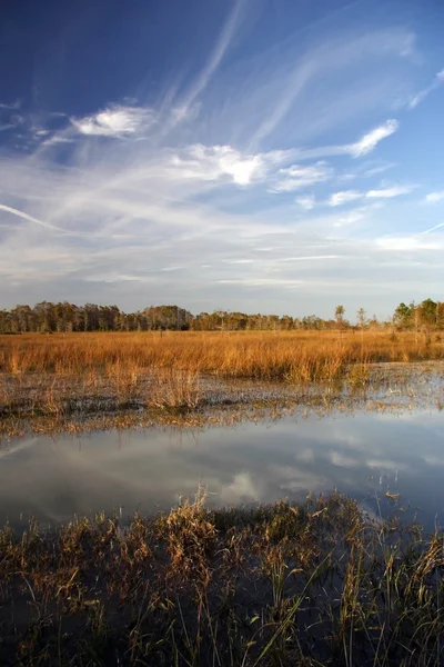 Flooded Concho Billy Trail — Stock Photo, Image