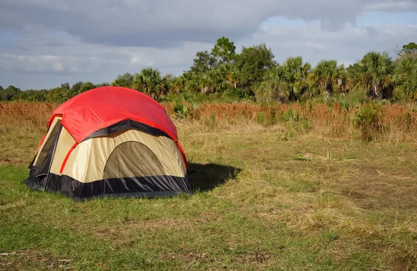 Gran ciprés Camping — Foto de Stock