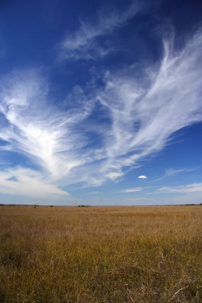 Scenic Everglades Landscape — Stock Photo, Image