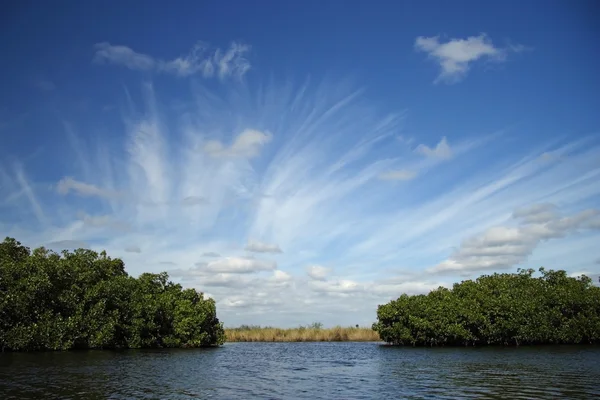Doğal Everglades peyzaj — Stok fotoğraf