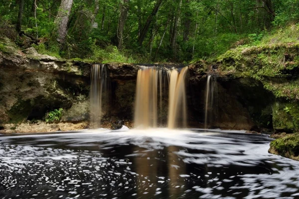 Падіння Creek Falls — стокове фото