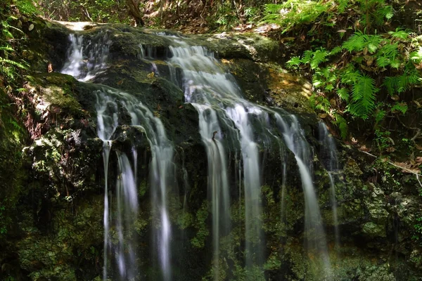 Düşen suları State Park