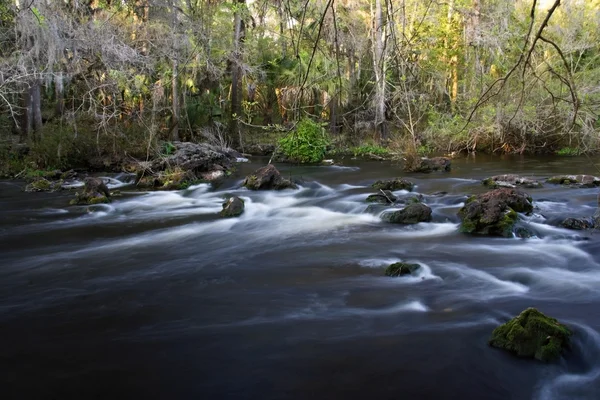 O rio Hillsborough — Fotografia de Stock