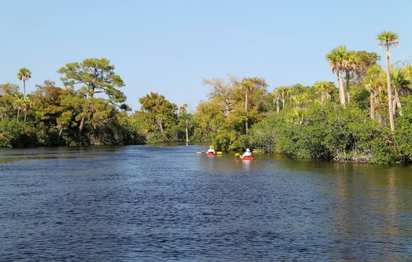 Loxahatchee üzerinde kayaklar — Stok fotoğraf