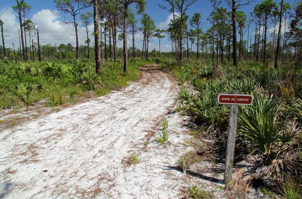 Exfoliante Jay Trail —  Fotos de Stock