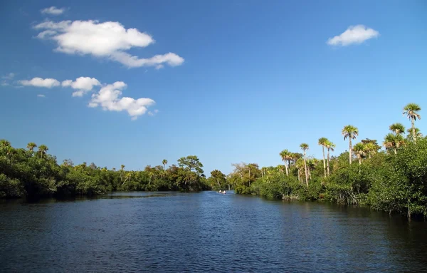 Rio Loxahatchee selvagem e panorâmico — Fotografia de Stock