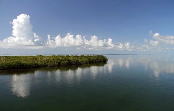 Florida Keys manzara — Stok fotoğraf