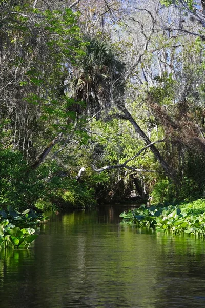 Uruchom Rock Springs — Zdjęcie stockowe