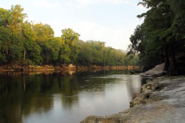 Suwannee River eyalet parkı
