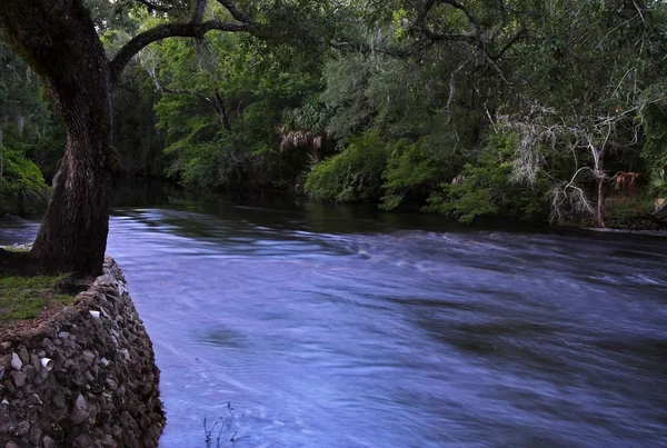 Der steinhatchee fluss — Stockfoto