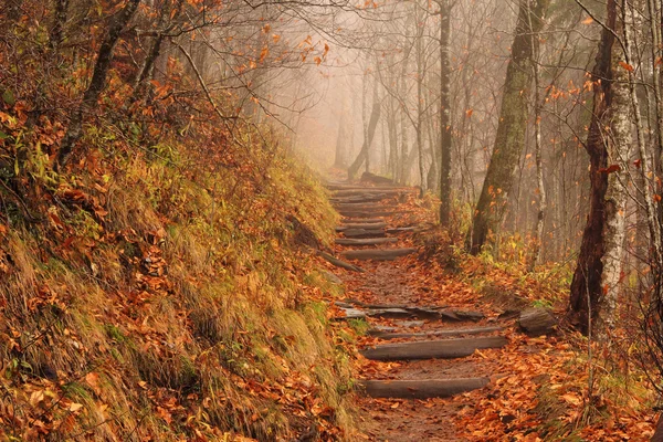 Der appalachische Pfad — Stockfoto