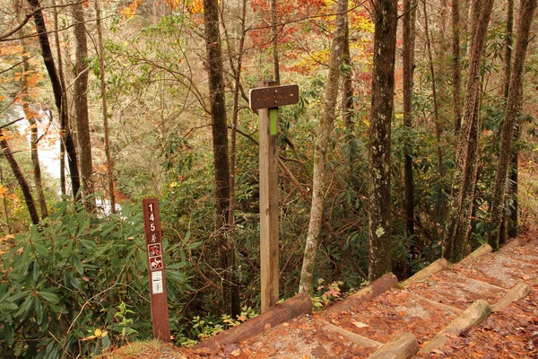 Sentier Helton Creek Falls — Photo