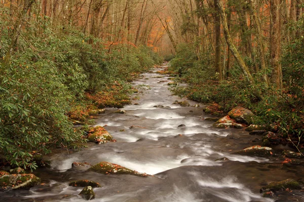 Parque Nacional Great Smokey Mountains — Foto de Stock