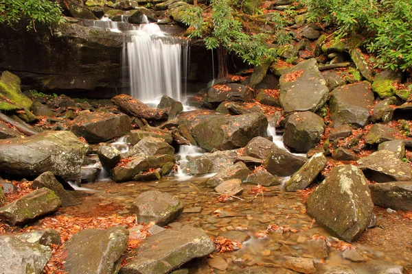 Scenic Leconte Creek — Zdjęcie stockowe