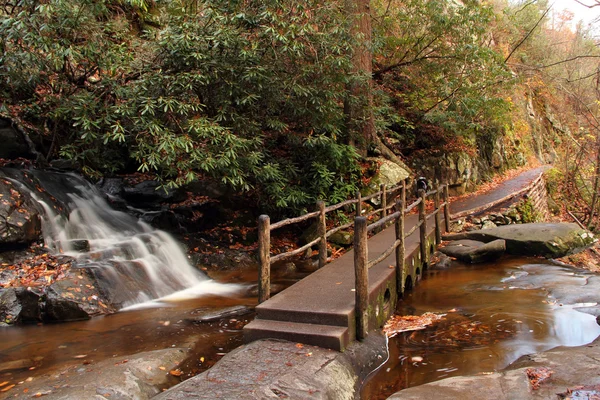 Scenic Laurel Falls — Zdjęcie stockowe