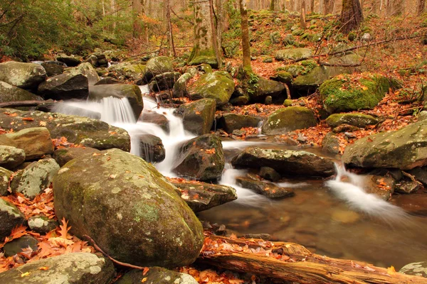 Scène LeConte Creek — Photo