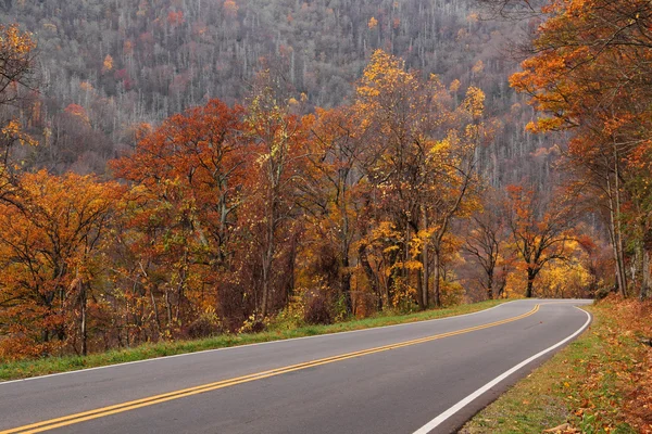 Grande smokey montanhas parque nacional — Fotografia de Stock