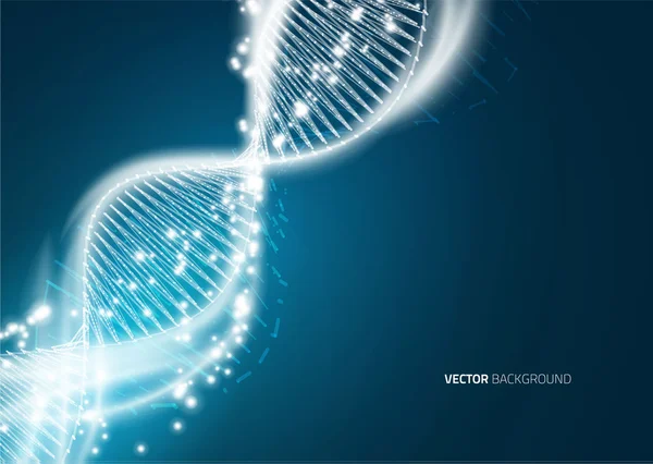 Fundo da estrutura da molécula do ADN . — Vetor de Stock