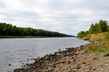 Ormanın arka planında nehrin manzarası