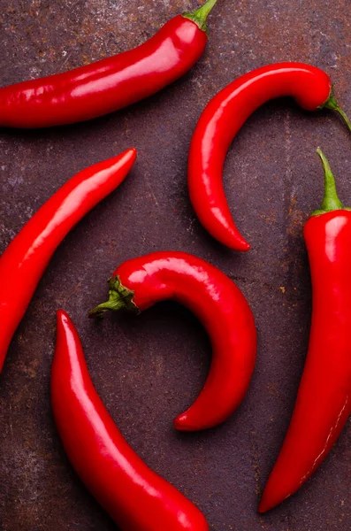 Red pepper pod on a rusty brown metal background. Design concept. Selective focus.