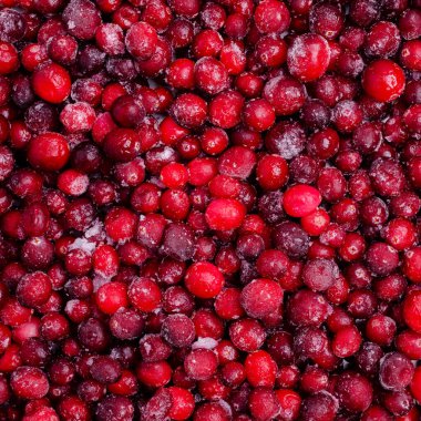 Donmuş kızılcık arka planı. Tasarım konsepti. Mekanın kopyası. Seçici odak.