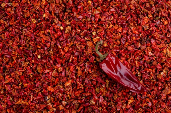 Dry red pepper. Design concept. Top view. Selective focus.