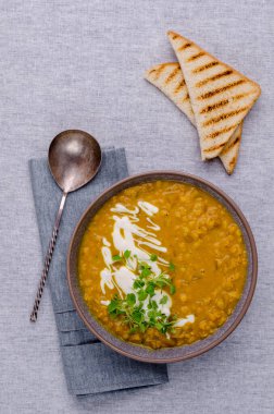 Tekstil arka planında mercimek ve sebzeli kalın çorba. Seçici odak.