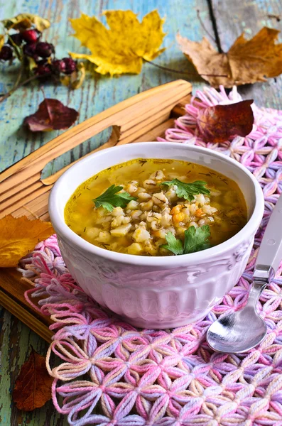 Soup with pearl barley — Stock Image Soup with pearl barley Stock Picture