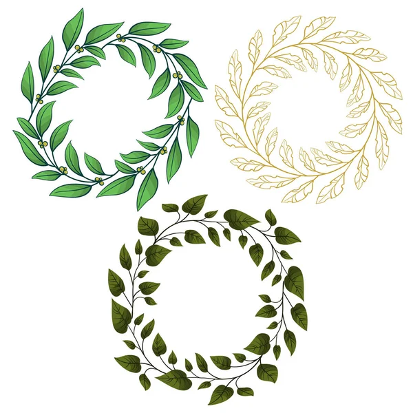 Set Vector Foliate Frames Wreathes Greeting Cards Invitations Posters Banners — Stock Vector