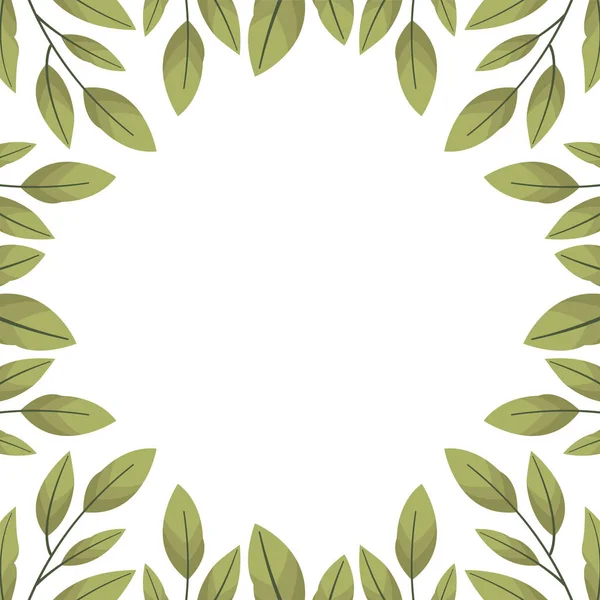 Fondo Vectorial Con Hojas Laurel Para Tarjetas Felicitación Invitaciones Empaques — Archivo Imágenes Vectoriales