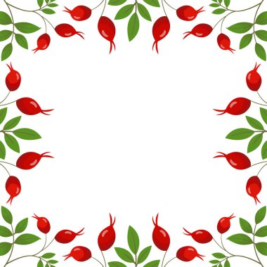 Gül kalçalı vektör arkaplanı; tebrik kartları, davetiyeler, posterler, afişler.