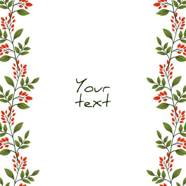 Barberry ile vektör arkaplan; tebrik kartları, davetiyeler, posterler, afişler, ambalajlama için dikey dut kenarlıkları.