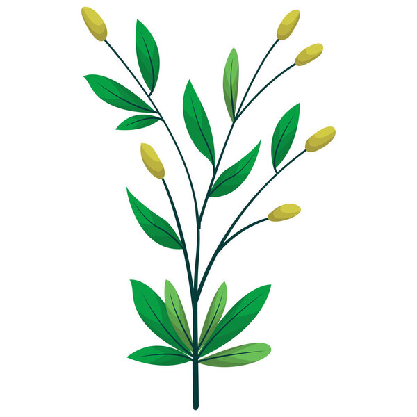 Vector foliate bush; floral element for packaging, posters, banners, etc.