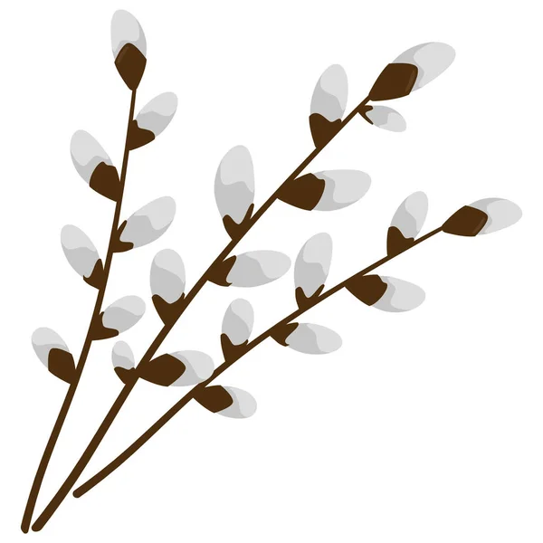 Pussy Willow Branches Greeting Cards Posters Banners Packaging Wedding Cards — Wektor stockowy