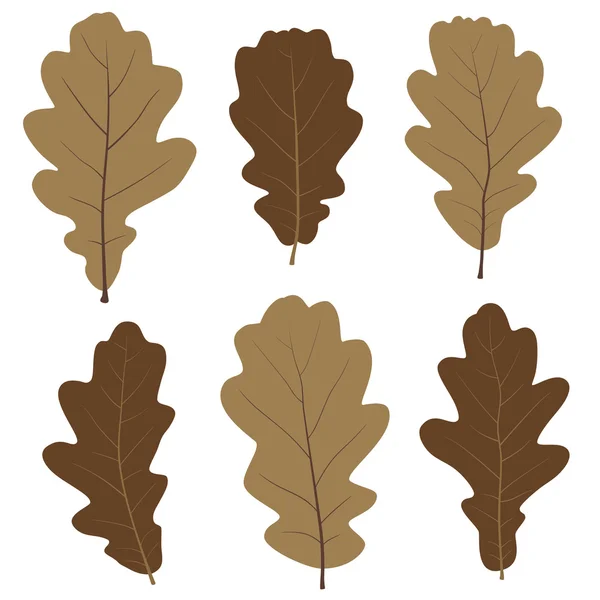 Set of vector oak leaves for your design — Stock Vector