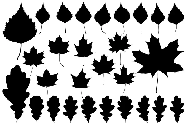 Ensemble de feuilles pour votre design — Image vectorielle