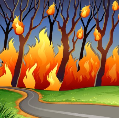 Orman yangın mahalline felaket
