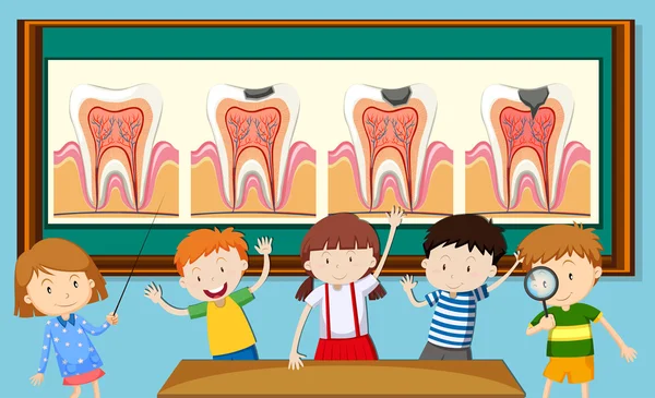 Диаграмма распада зубов и детей — стоковый вектор